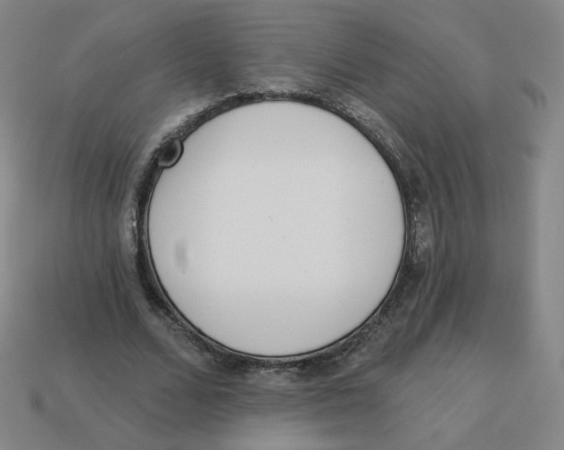 X0000113320680200910131129