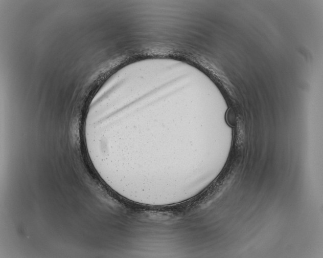 X0000113320681200910131129