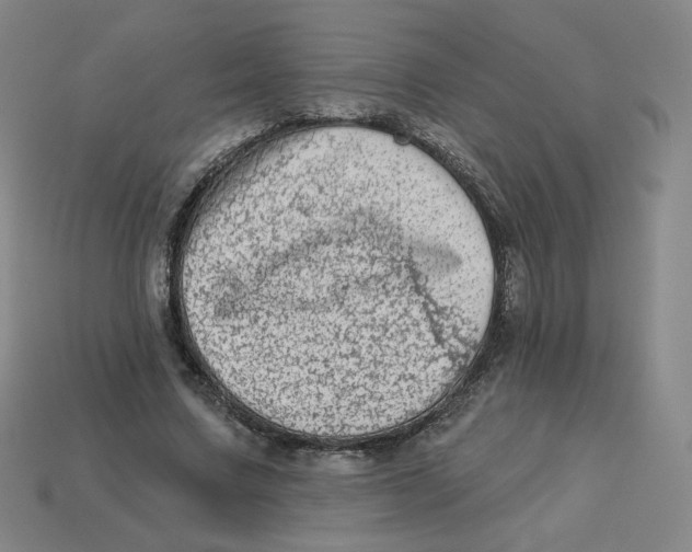 X0000113320683200910131129