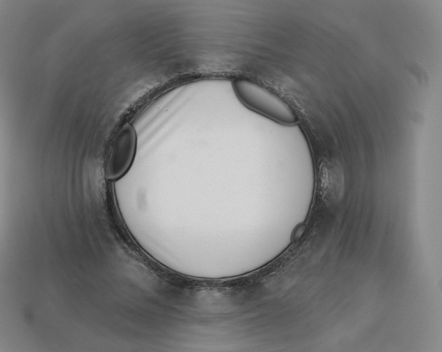 X0000113320684200910131129