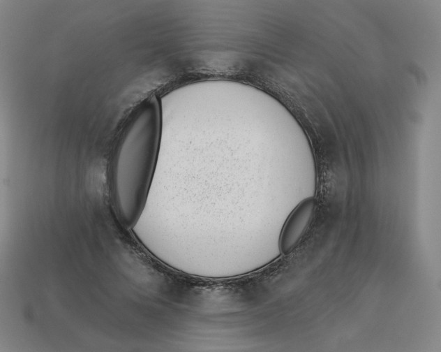 X0000113320688200910131129