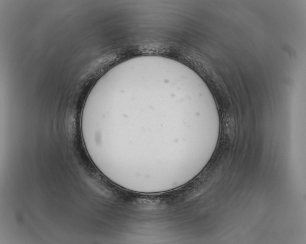 X0000113320690200910131129