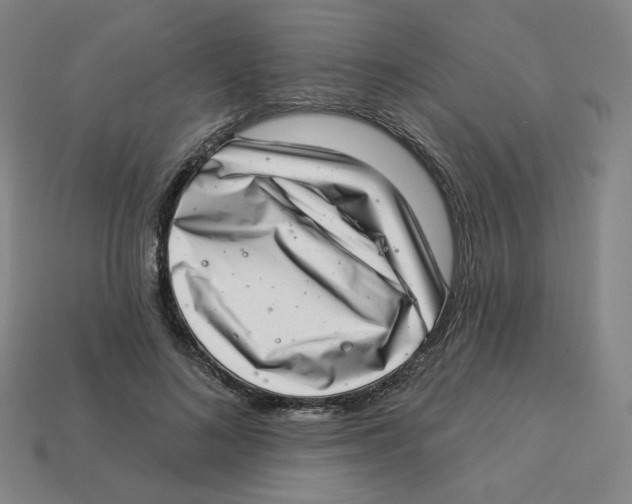 X0000113320692200910131129