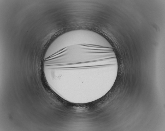 X0000113320693200910131128