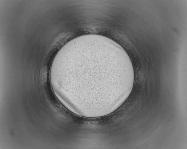 X0000113320694200910131128