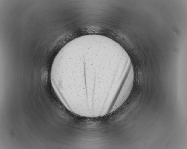 X0000113320697200910131128