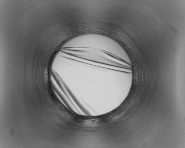 X0000113320700200910131128