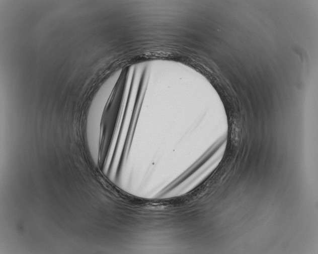 X0000113320701200910131128