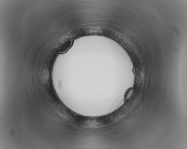 X0000113320704200910131128