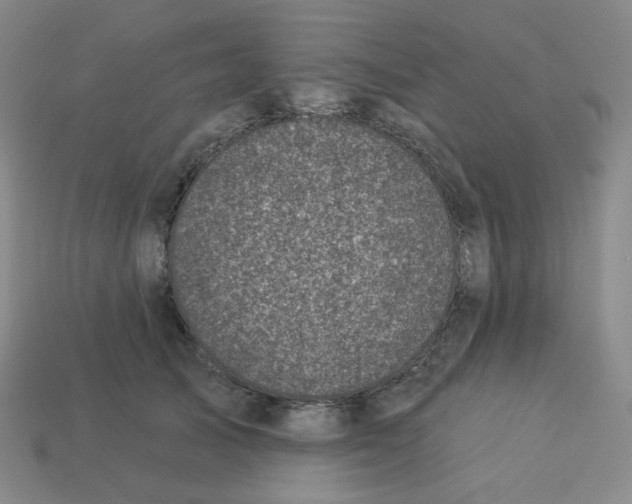 X0000113320705200910131128