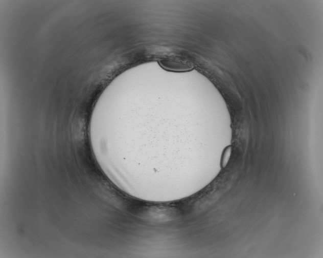 X0000113320708200910131128