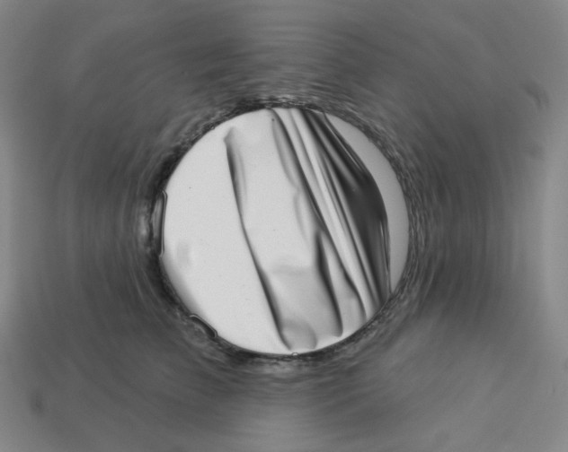 X0000113320709200910131128