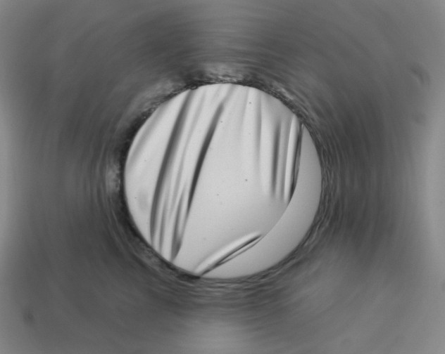 X0000113320713200910131128