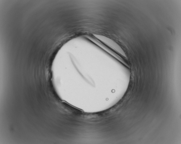 X0000113320716200910131128