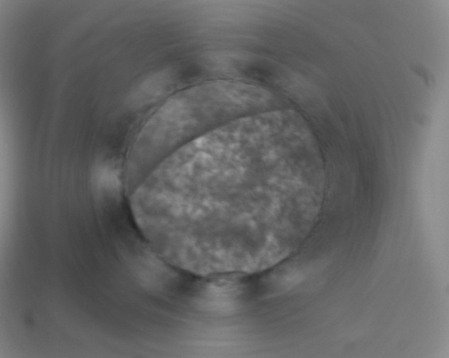 X0000113320720200910131128