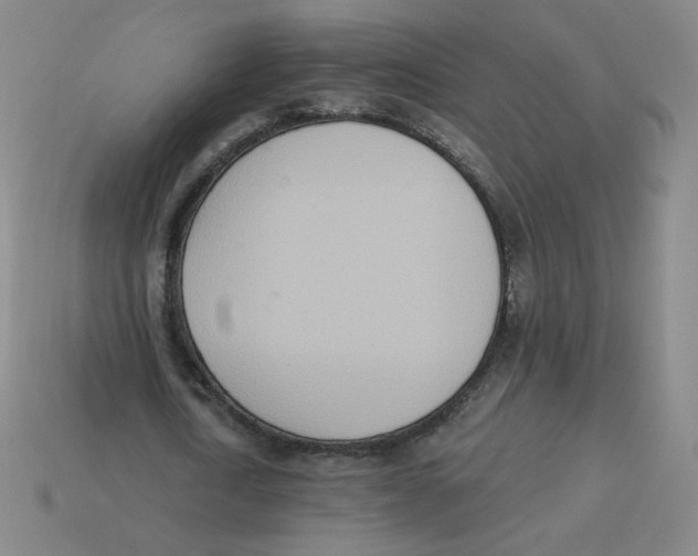 X0000113320722200910131128