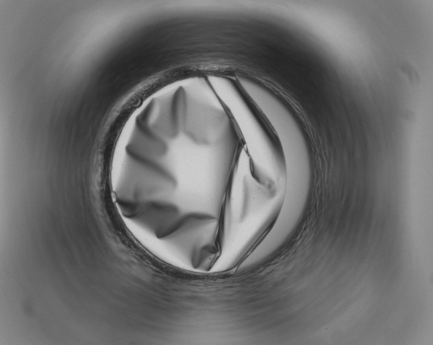 X0000113320724200910131128