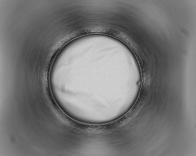 X0000113320725200910131128