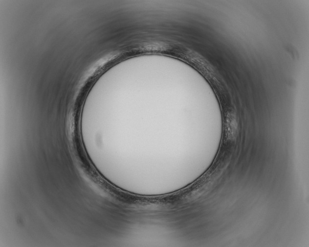 X0000113320726200910131128