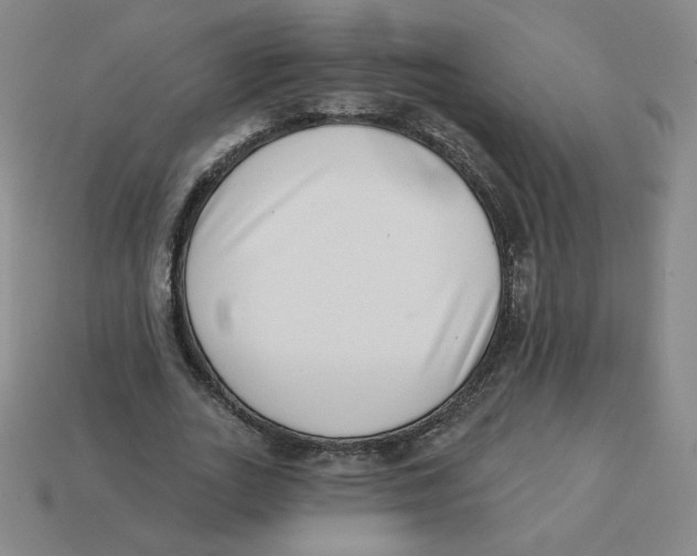 X0000113320727200910131128