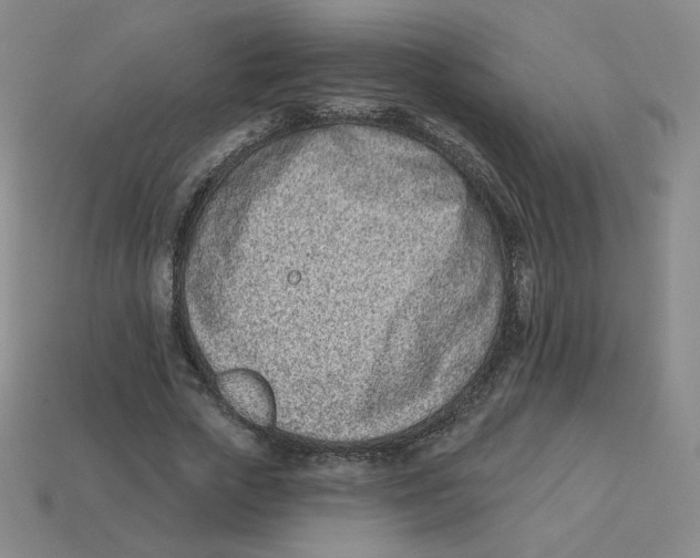 X0000113320729200910131128