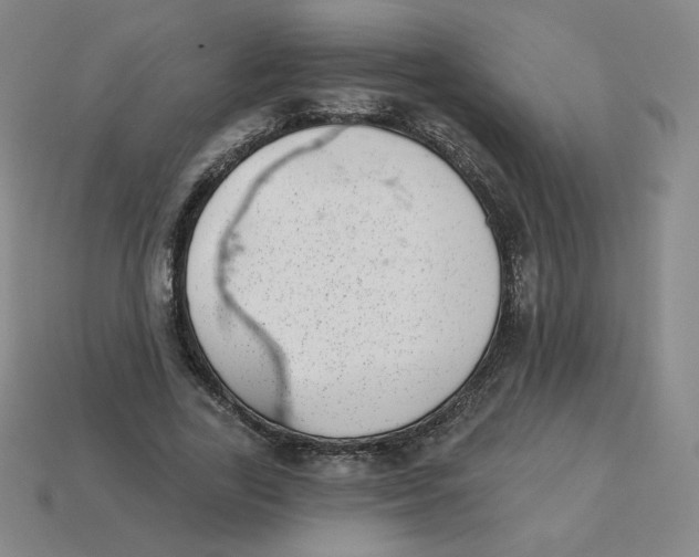 X0000113320731200910131128