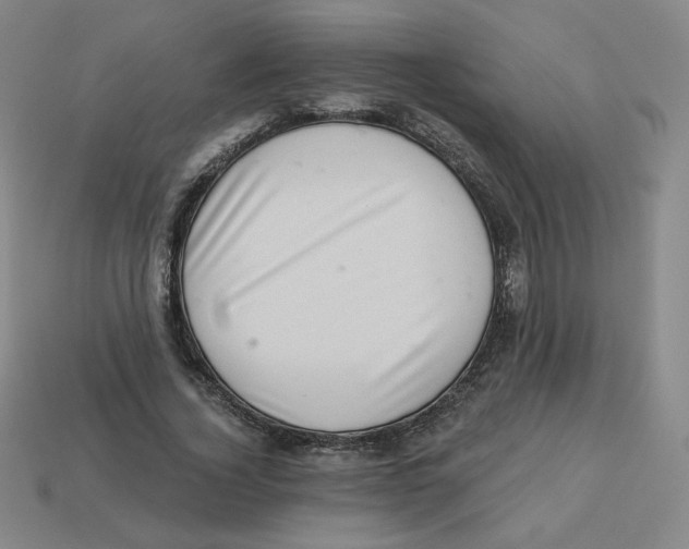 X0000113320732200910131128