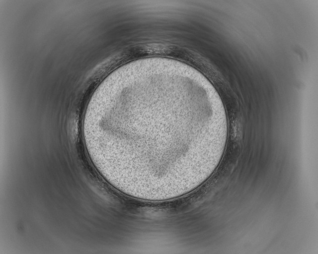 X0000113320733200910131128