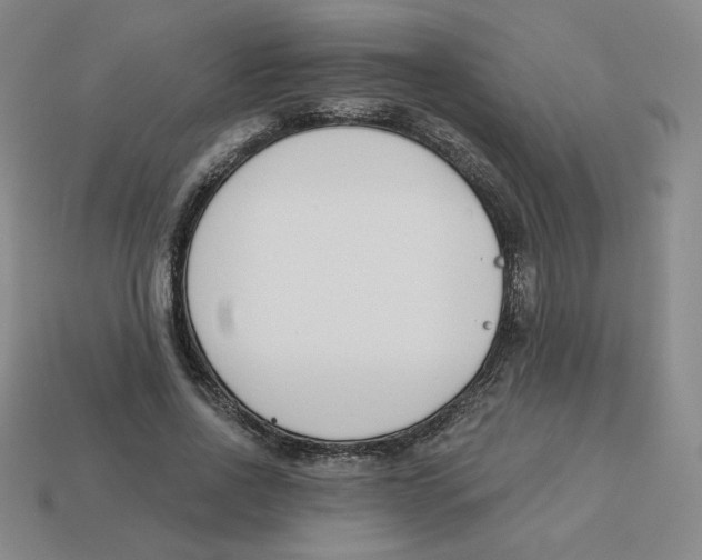 X0000113320734200910131128