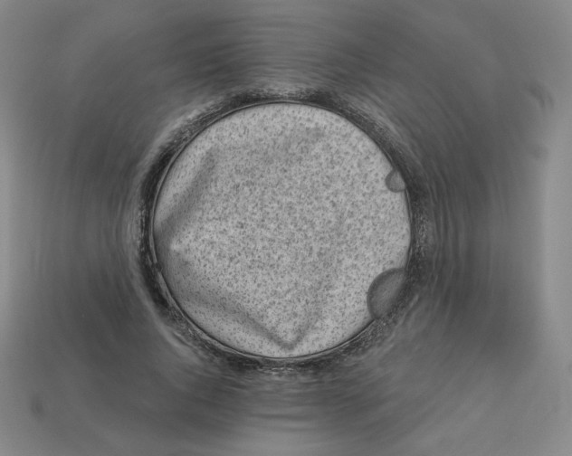 X0000113320736200910131128