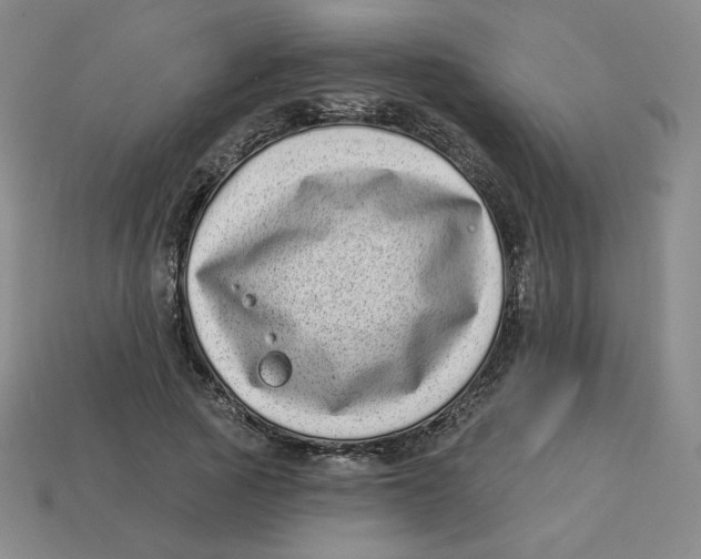 X0000113320737200910131128