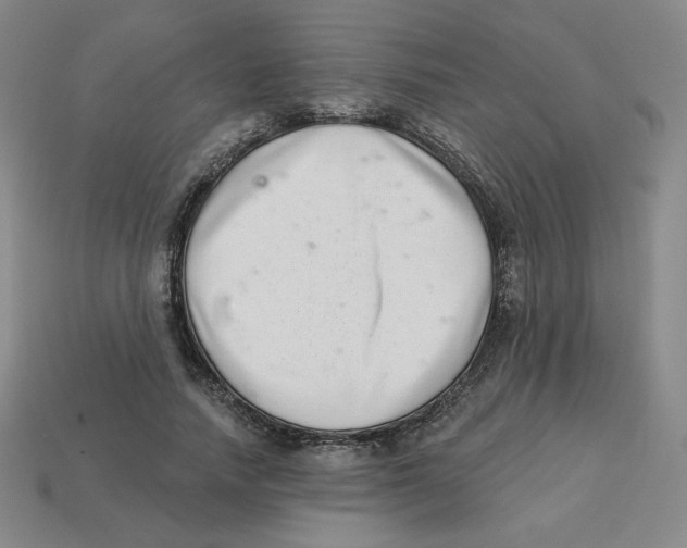 X0000113320738200910131128