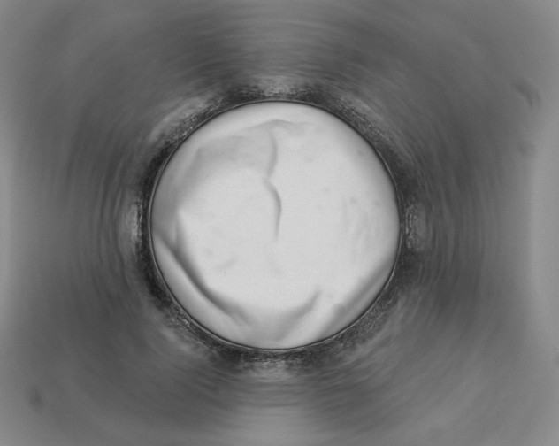 X0000113320740200910131128