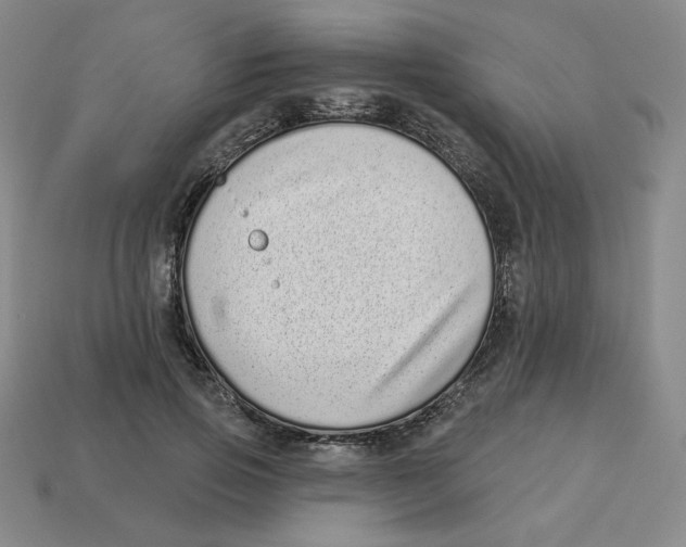 X0000113320741200910131128