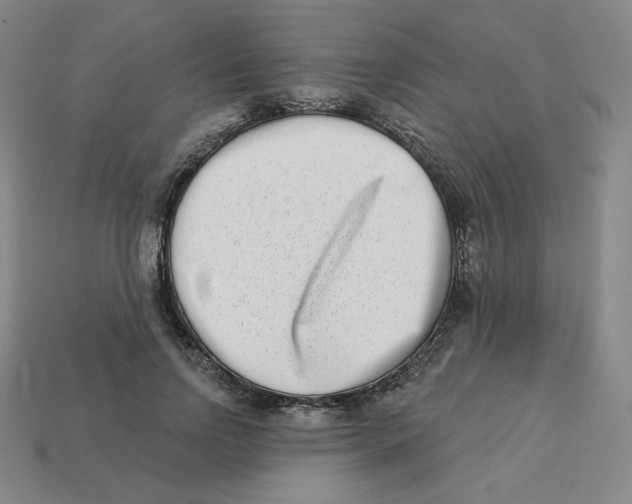 X0000113320742200910131128