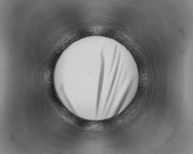 X0000113320750200910131128