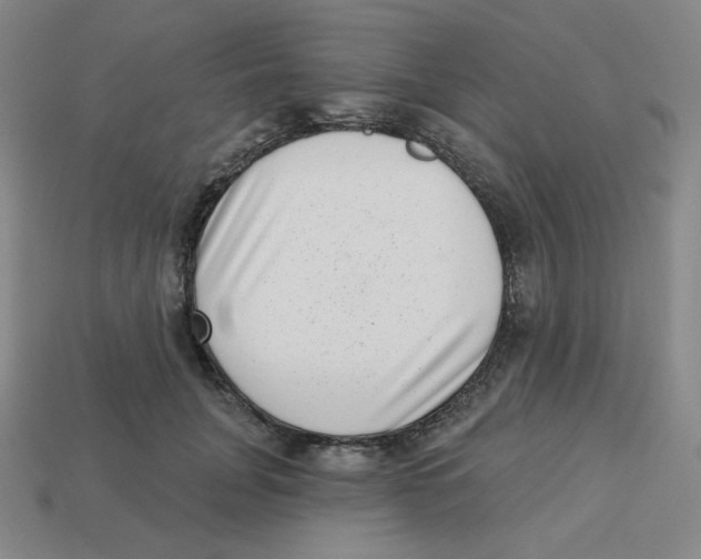 X0000113320751200910131128