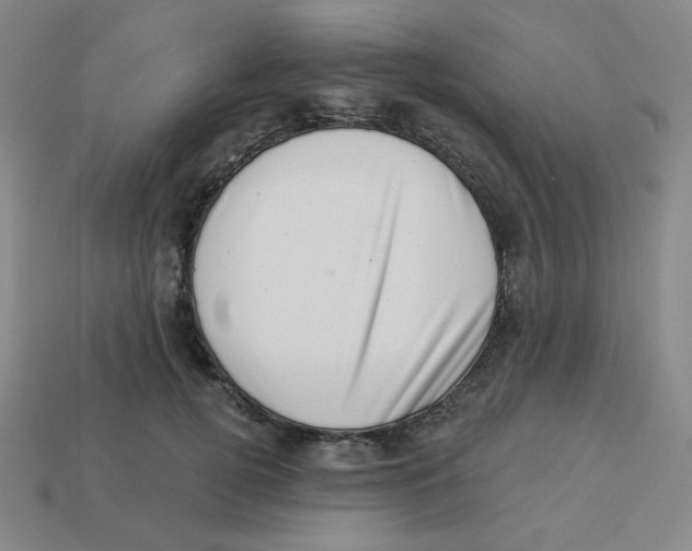 X0000113320752200910131128