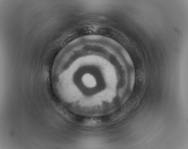 X0000113320754200910131128