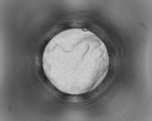 X0000113320755200910131128