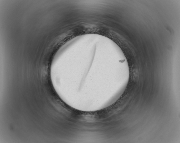 X0000113320756200910131128