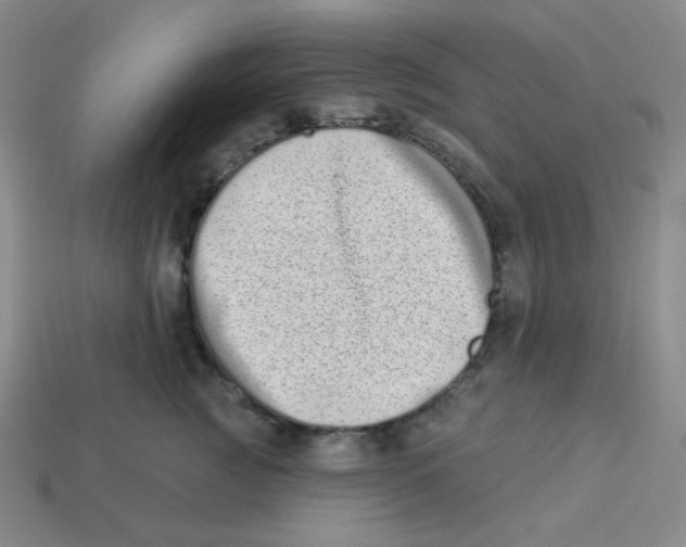 X0000113320761200910131128