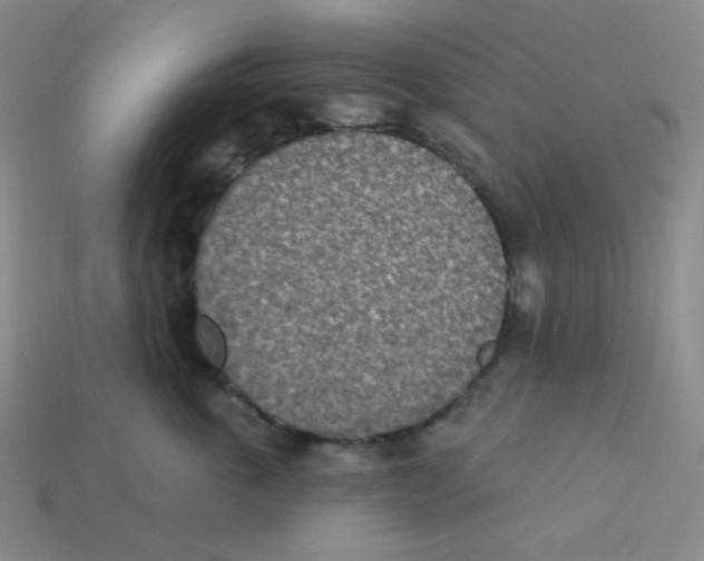 X0000113320763200910131128