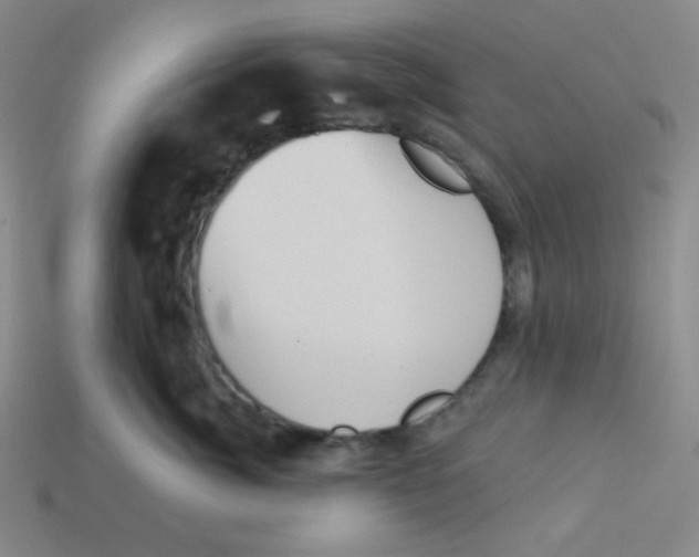 X0000113320764200910131128