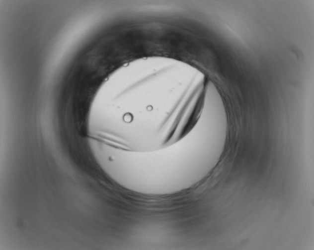 X0000113320766200910131128