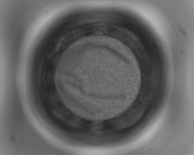 X0000113320767200910131128