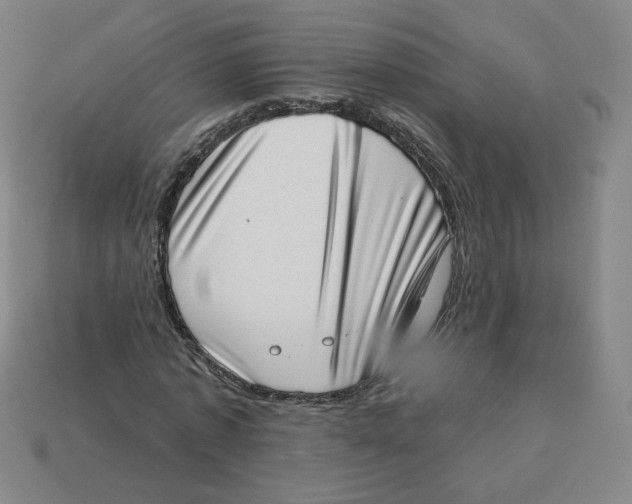 X0000113320773200910131127