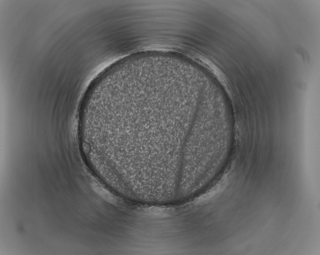 X0000113320779200910131127