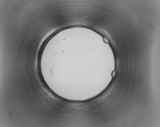 X0000113320780200910131127