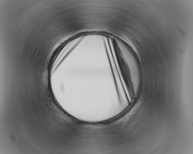 X0000113320781200910131127